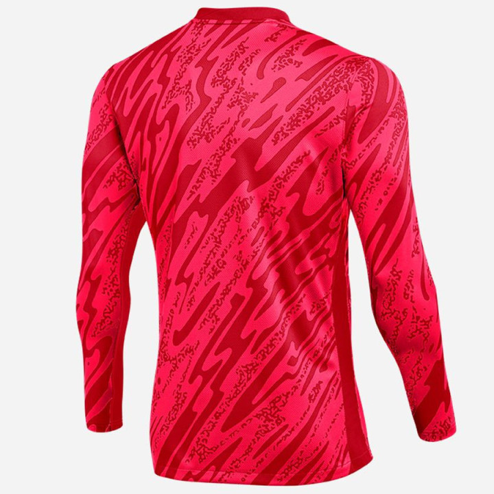 Bluza bramkarska męska Nike Gardien V Dri-FIT czerwona | VUX.pl