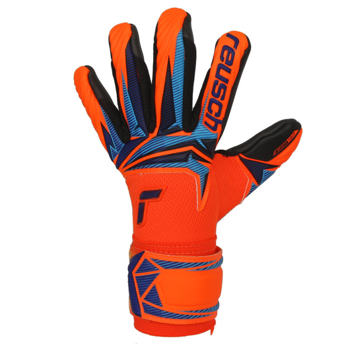 Rękawice Reusch Attrakt Infinity Evolution NC World Cup | VUX.pl