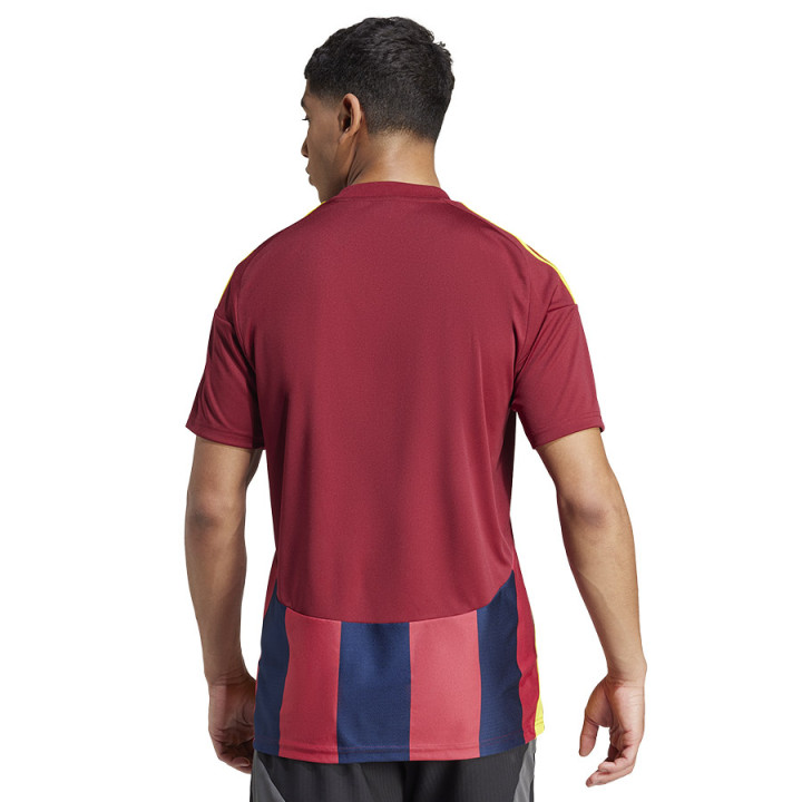 Koszulka adidas STRIPED 24 JSY IW2149 | VUX.pl