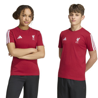 Koszulka adidas Liverpool FC Junior Tee KG2500 | VUX.pl