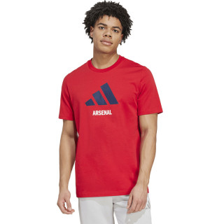 Koszulka adidas Arsenal Londyn FC 24/25 Session Graphic Tee | VUX.pl